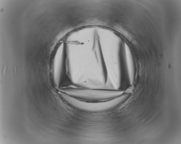 X0000071811264200607282344