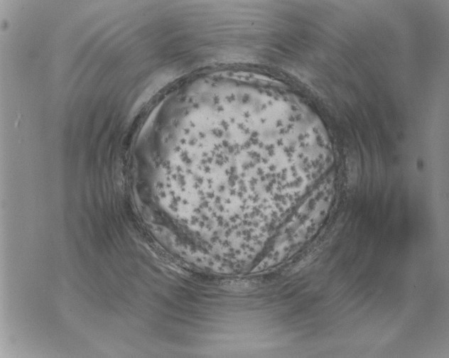 X0000071811266200607282343
