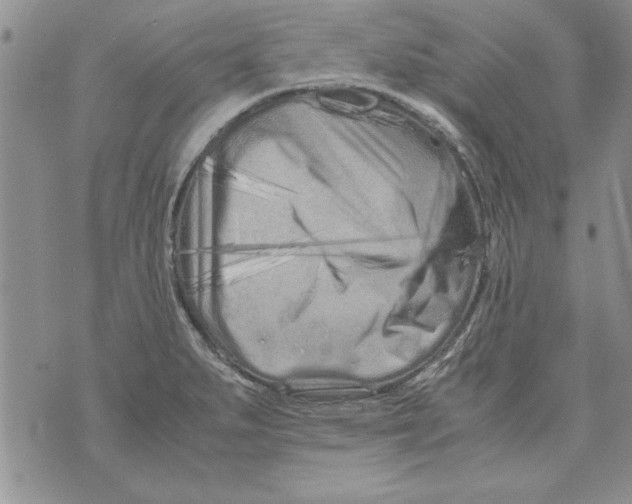 X0000071811279200607282343