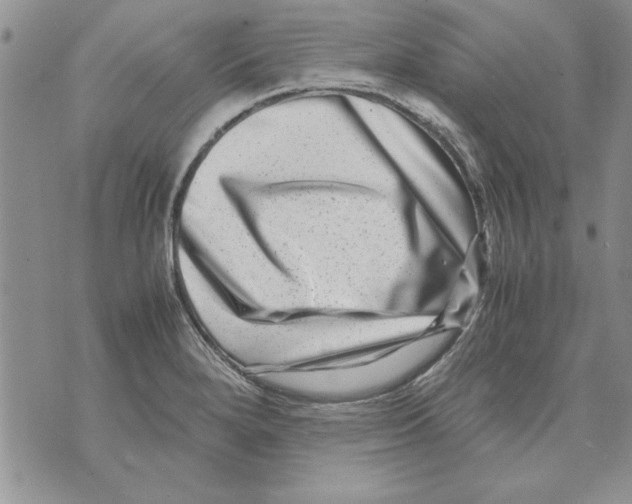 X0000071811280200607282343