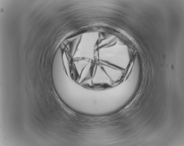 X0000071811281200607282343