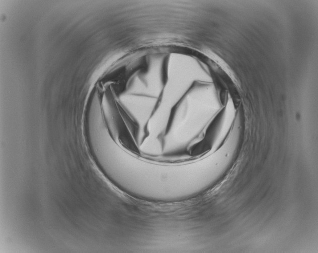 X0000071811285200607282343