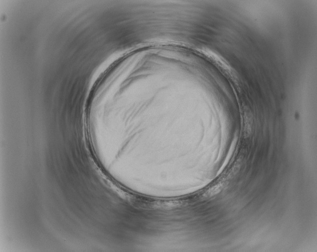 X0000071811286200607282343