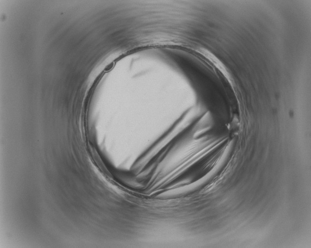 X0000071811293200607282343