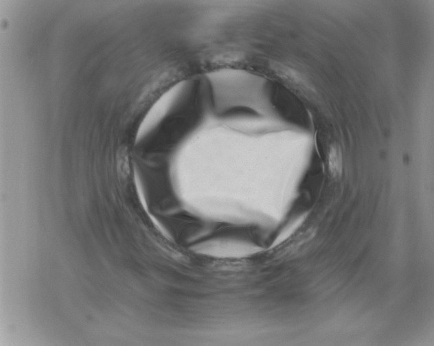 X0000071811299200607282342