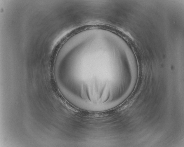 X0000071811311200607282342