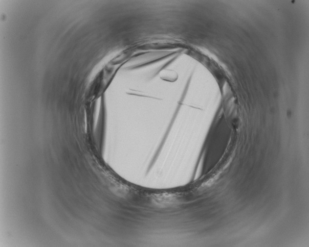 X0000071811317200607282343