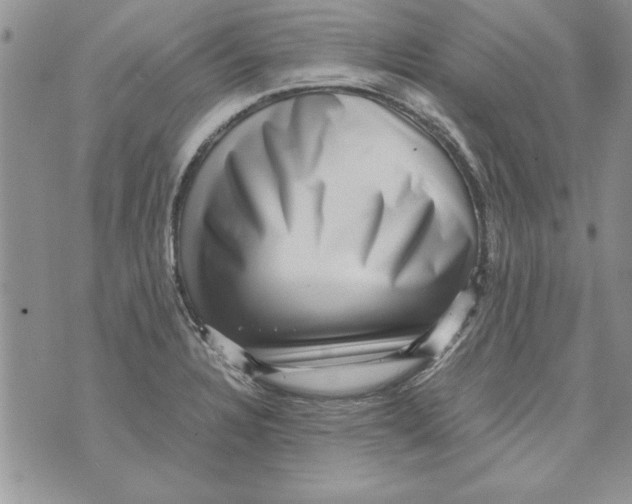 X0000071811328200607282343