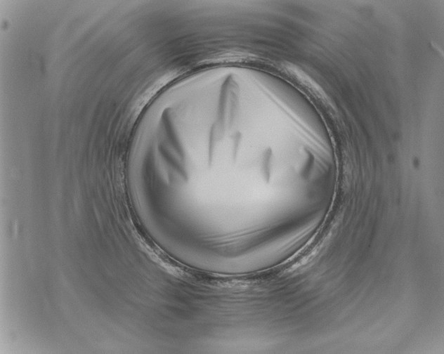 X0000071811329200607282343