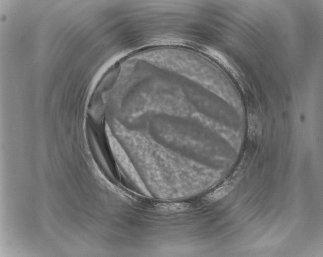 X0000071811331200607282343