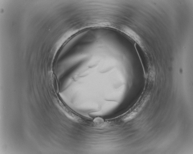 X0000071811332200607282343