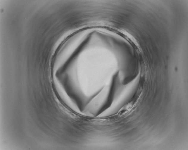 X0000071811342200607282343