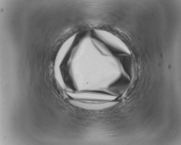 X0000071811349200607282342