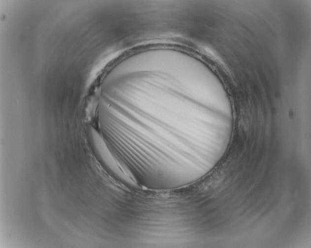 X0000071811360200607282342