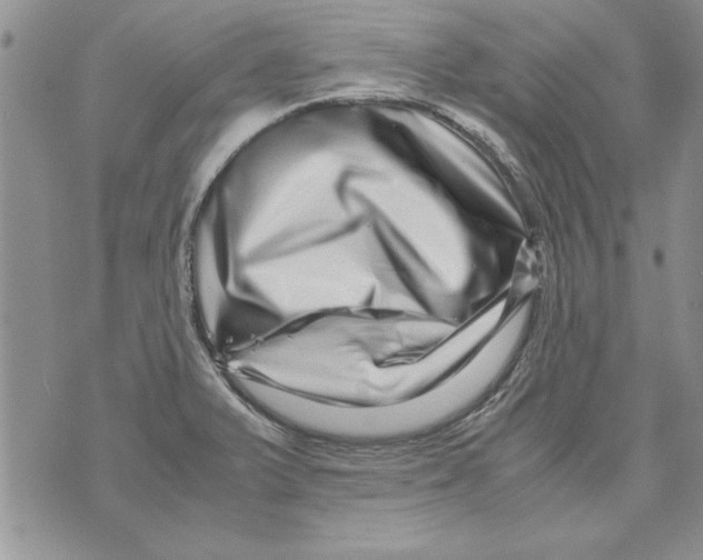 X0000071811375200607282342