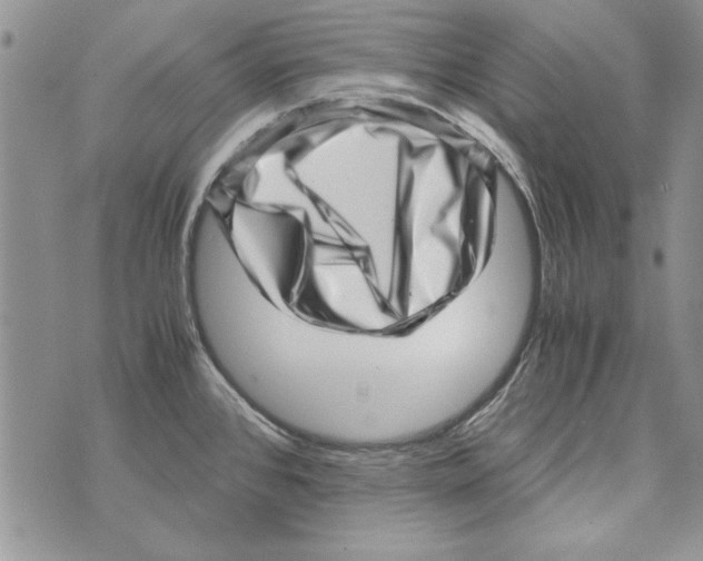 X0000071811384200607282342