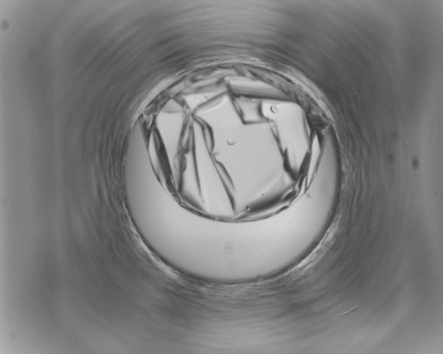 X0000071811385200607282342