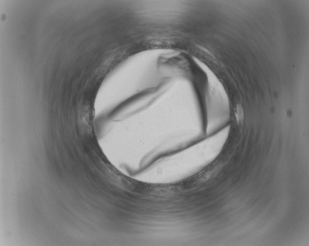 X0000071811396200607282341