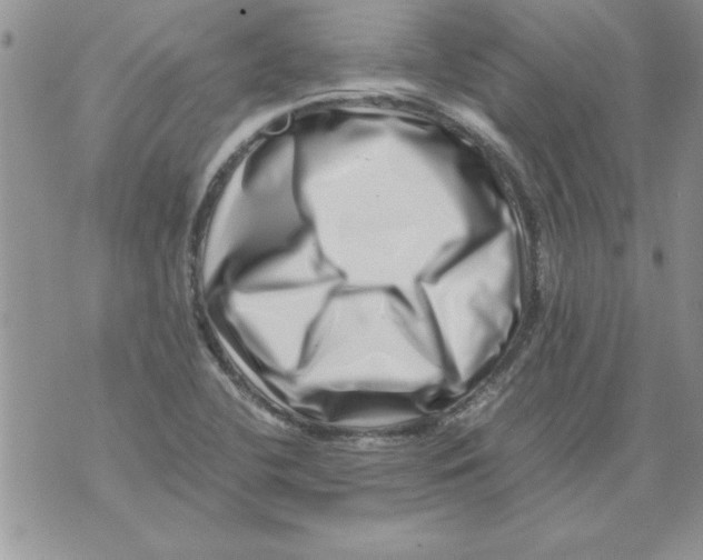 X0000071811412200607282341