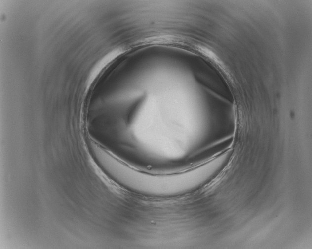X0000071811426200607282341