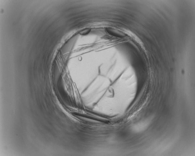 X0000071811429200607282341