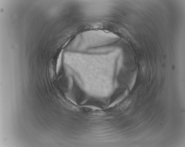 X0000071811442200607282341