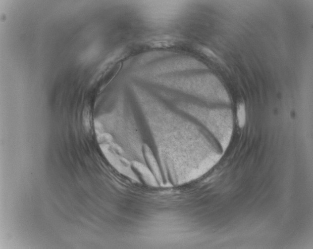 X0000071811444200607282341