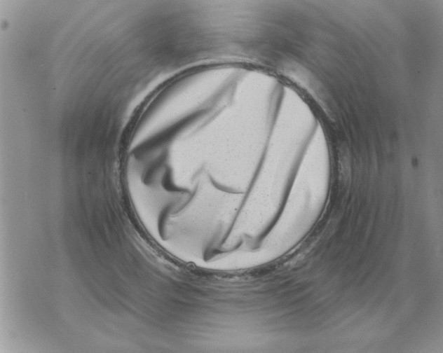 X0000071811460200607282340