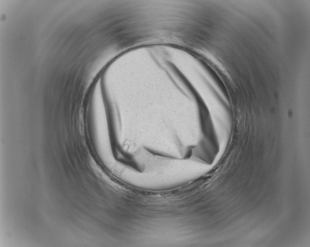 X0000071811468200607282340
