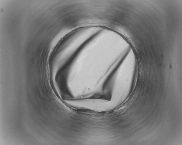 X0000071811472200607282340