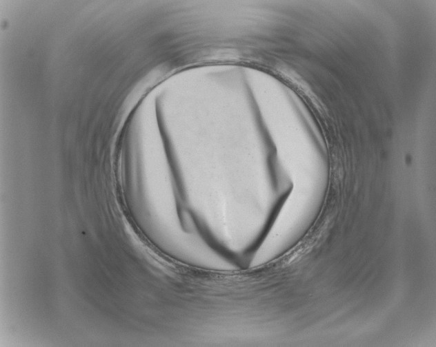 X0000071811475200607282340