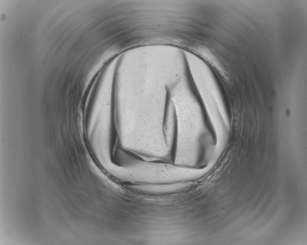 X0000071811476200607282340