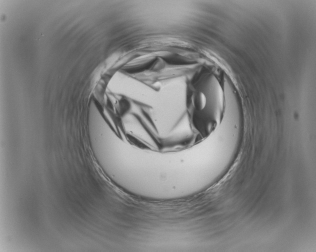 X0000071811481200607282340