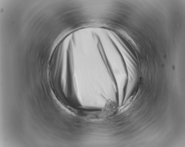 X0000071811484200607282340