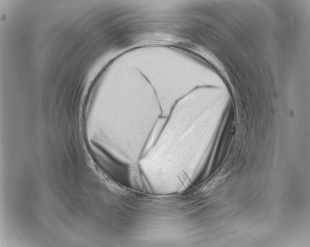 X0000071811488200607282340