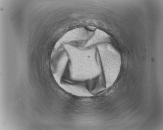 X0000071811489200607282339