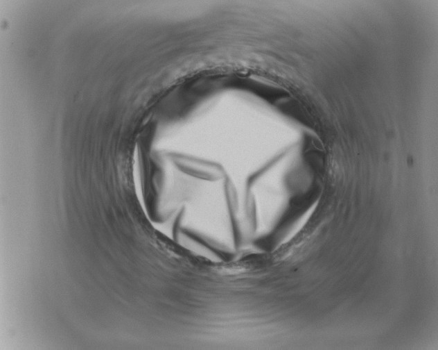 X0000071811490200607282339