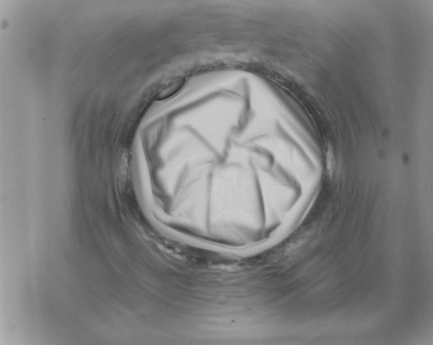 X0000071811492200607282339