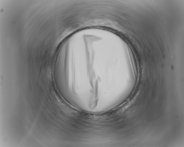 X0000071811505200607282339