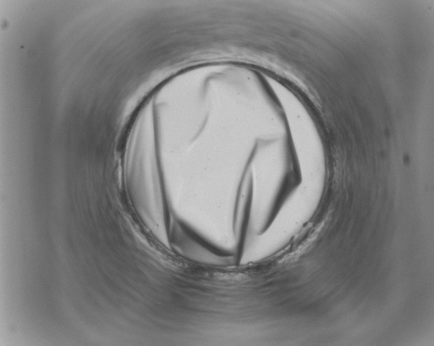 X0000071811509200607282339