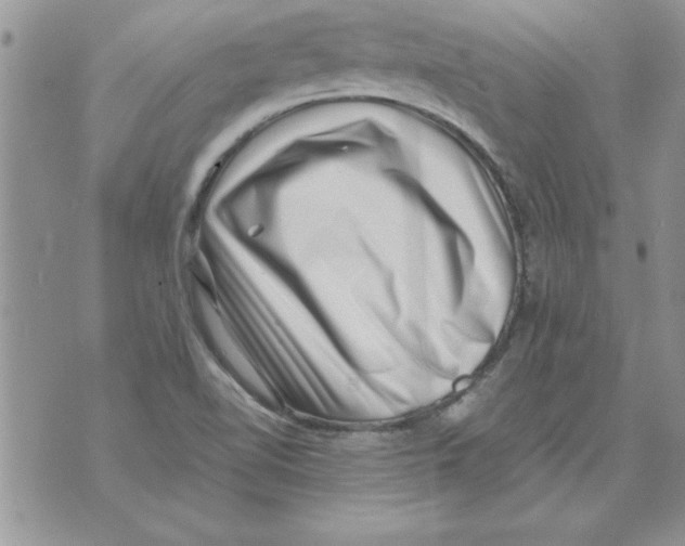 X0000071811510200607282339
