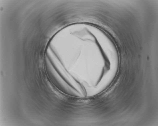 X0000071811513200607282340