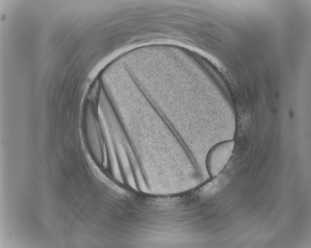 X0000071811518200607282340
