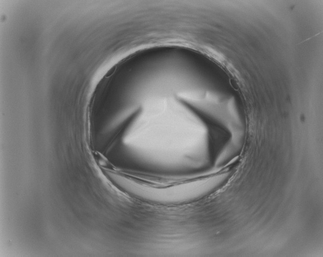 X0000071811520200607282340