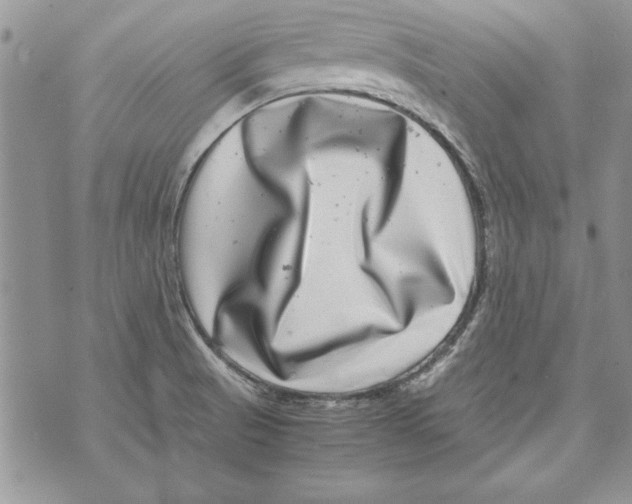 X0000071811521200607282340