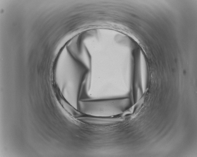 X0000071811523200607282340
