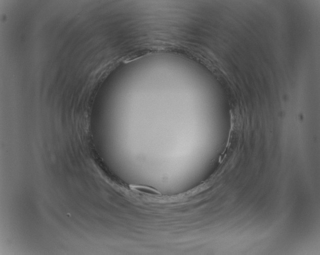 X0000071820043200606301021