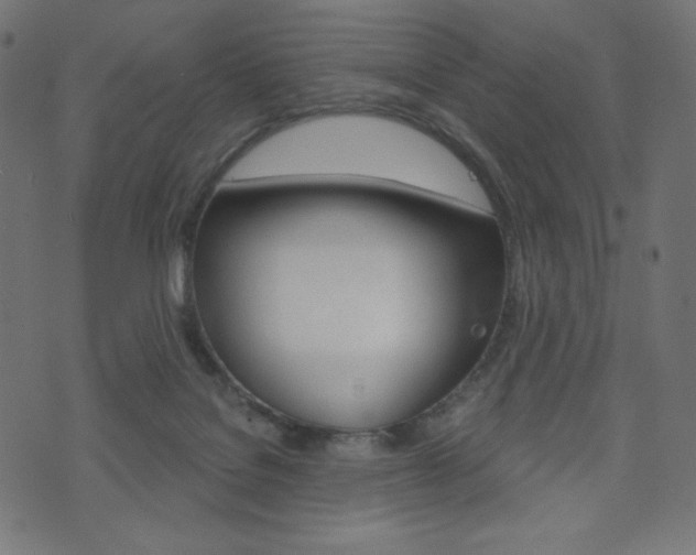 X0000071820076200606301021