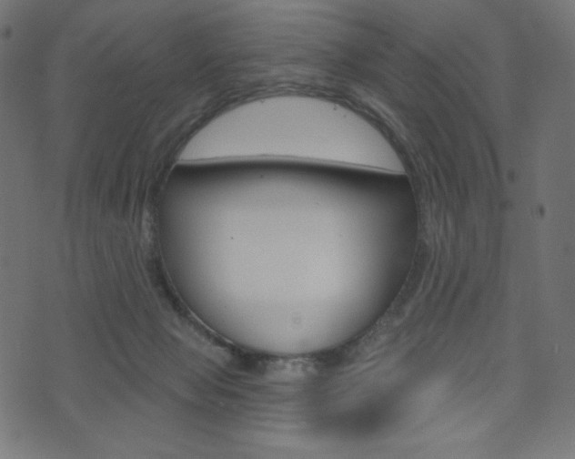 X0000071820077200606301021
