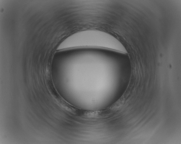 X0000071820084200606301021